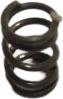 Fox Spring: Detent, 2013 CTD (.250 TLG,.088 ID, 40 lb/in) 17-7 SS SH