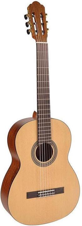 Actual product image Salvador Dalí gitaar 4//4 Salvador CS-244 (Electric guitar)