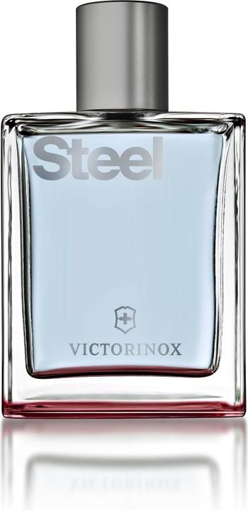 Victorinox Steel (Eau de Toilette, 100 ml)