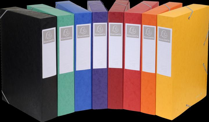 Actual product image Exacompta Archive boxes (A4)