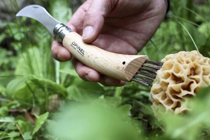 Produktbild Opinel Nr. 8 (7 cm)