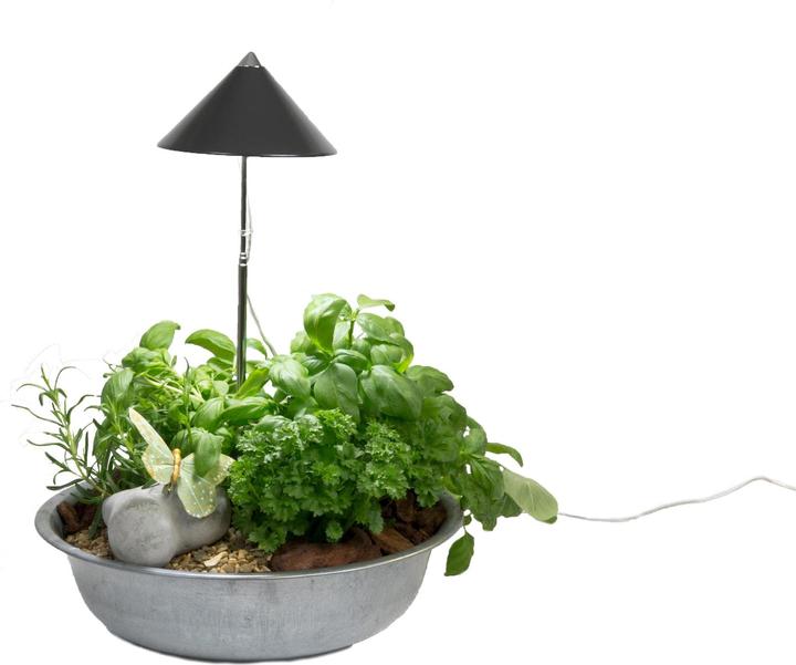 Immagine prodotto Colibri Grigio SUNLiTE (LED, 230 V)