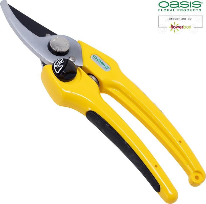 Immagine prodotto Oasis Forbici professionali per fioristi