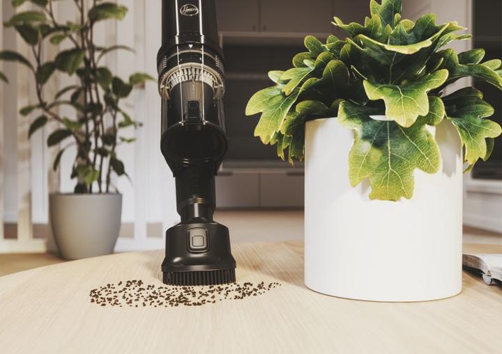 Actual product image Hoover HFX10P 011