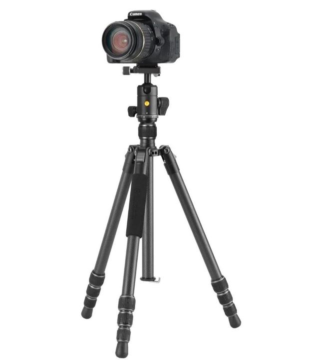 Actual product image Vanguard VESTA GO 264CB