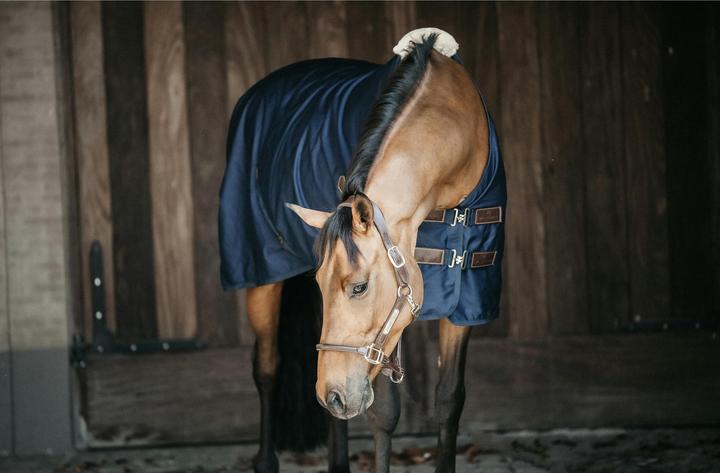 Immagine prodotto Kentucky Horsewear Lenzuolo di cotone (125 cm)
