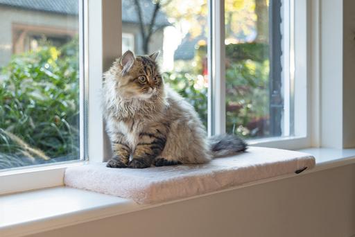 Actual product image Beeztees Fensterbankkissen Moza (Cat)