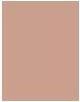 Actual product image Revlon Professional - Colourstay Pressed Powder 8.4G 850 Medium Deep (Deep, 850 Medium)