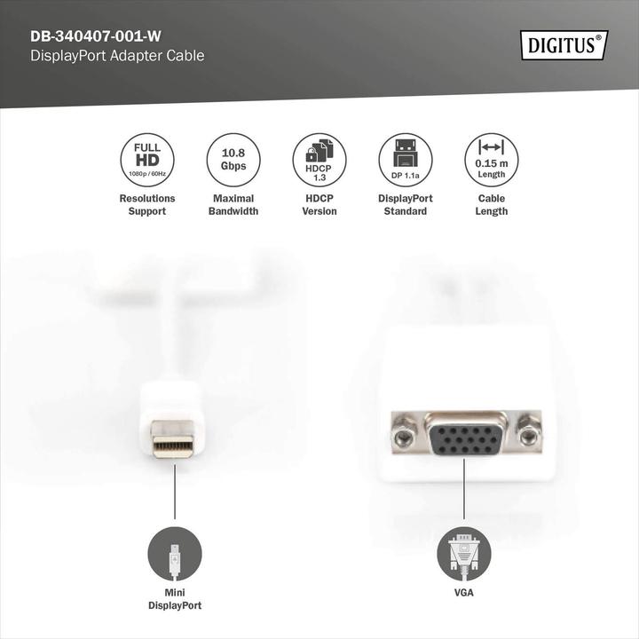 Immagine prodotto Digitus Cavo adattatore DisplayPort, mini DP - HD15 St/Bu DP, CE, bianco (Mini DP, 15 cm)