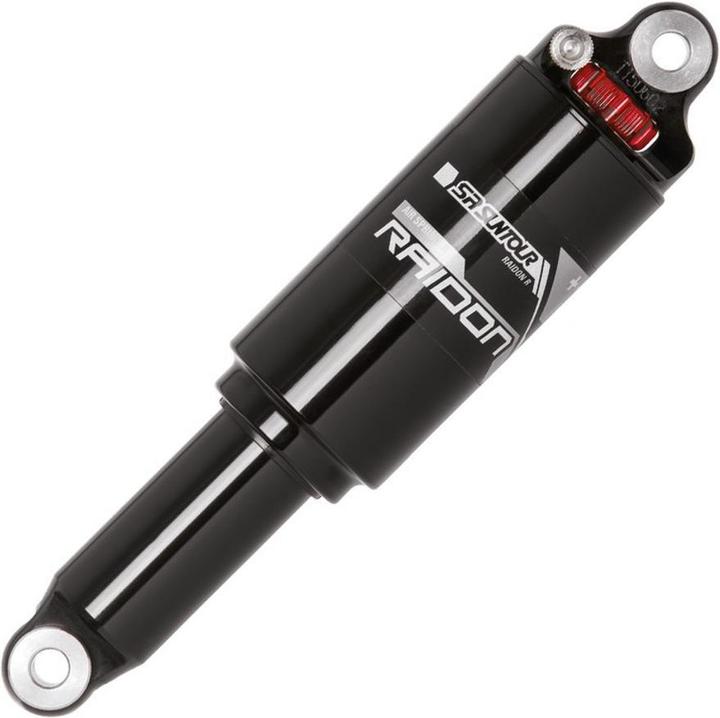 Rear shocks