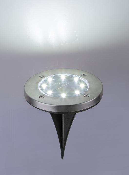 Immagine prodotto Globo Luce Solare In Acciaio Inox, 8xled (2 x)