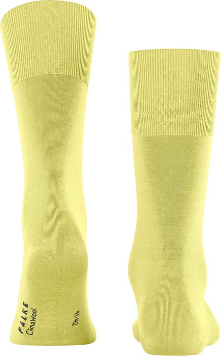 Actual product image Falke ClimaWool Herren (41 - 42)