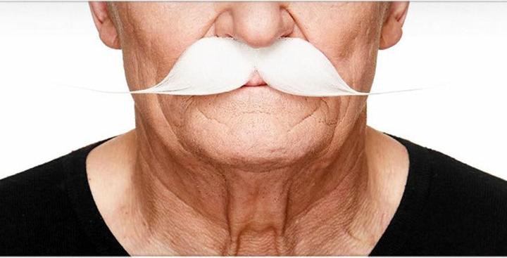 Actual product image Metamorph Englischer Moustache