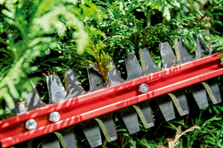 Productafbeelding Metabo HS 18 LTX BL 65 (Draadloze heggenschaar)