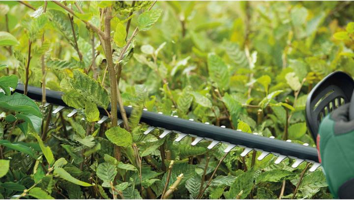 Produktbild Bosch Home & Garden Heckenschere UniversalHedgeCut 50 (Elektroheckenschere)