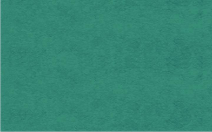 Produktbild Ursus Drachenpapier 70 x 100 cm, 42 g/m², Dunkelgrün (42 g/m², 1 x)