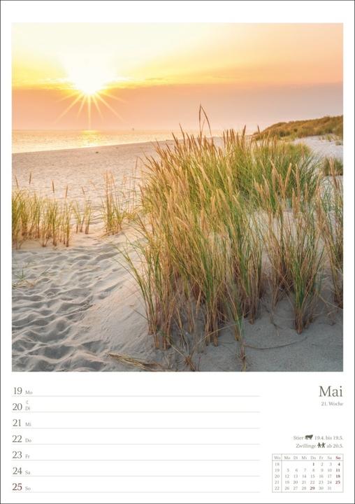 Image du produit Jours de mer Calendrier hebdomadaire 2025 - 53 feuilles avec la sagesse de la semaine au verso (250 x 355 mm, Couverture rigide, Allemand)