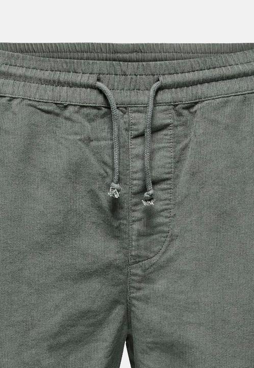 Image du produit Only & Sons Onsalfi Rlx Cord Shorts (XL)