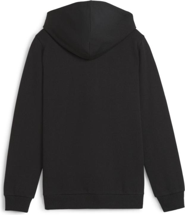 Produktbild Puma teamGOAL Casuals Hooded Jacket Jr (116)