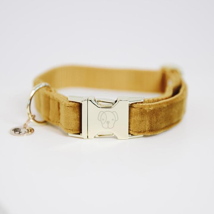 Produktbild Kentucky Dogwear Hundehalsband velvet (L, Hund, Hundesport)