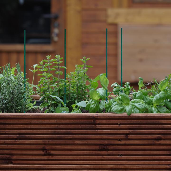 Actual product image Relaxdays 50x planting sticks (50 cm, 50 cm)