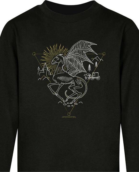 Produktbild Absolute Cult Harry Potter - Thestral Kids Longsleeve - 124361 (134, 140)