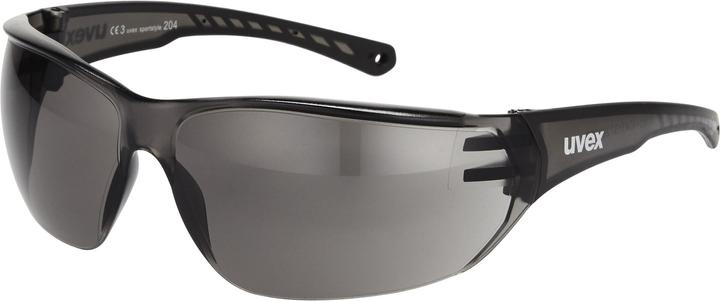 Immagine prodotto Uvex Sports Sportstyle 204 (Fumo, Fumo)