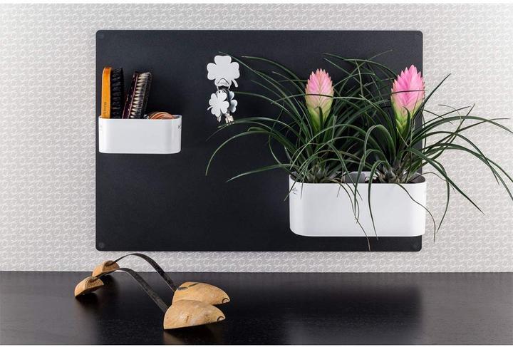 Actual product image Kalamitica Trough