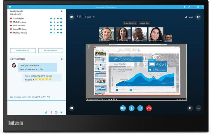 Lenovo ThinkVision M14 (1920 x 1080 Pixel, 14")