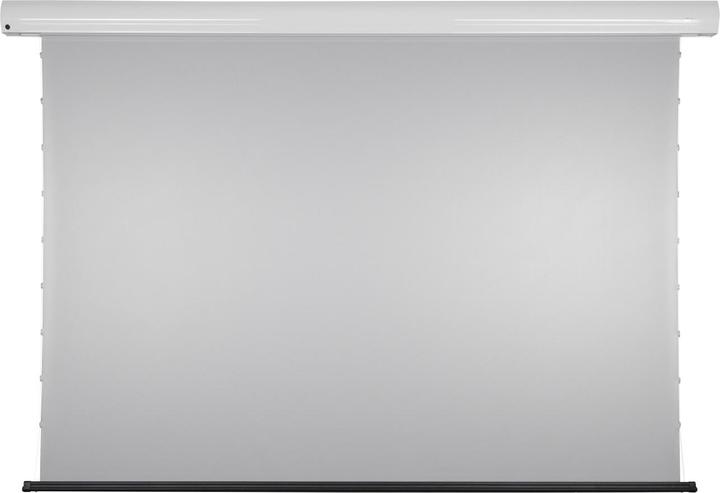 Elite Screens DayWalker DW3 ALR Tab Tension (110", 16:9)