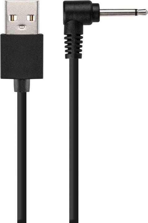 Actual product image Easytoys Butt Buzzer
