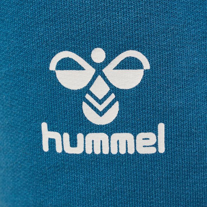 Actual product image hummel Hmlflow Shorts (134)