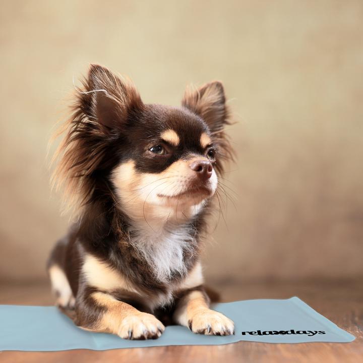 Produktbild Relaxdays Kühlmatte (Katze, Hund)