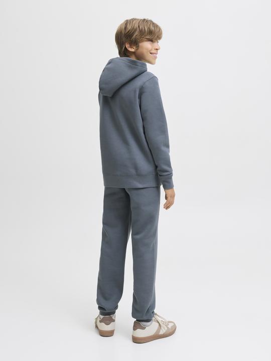 Actual product image Jack & Jones Jjestar Jj Sweat Hood Noos Jnr (128)