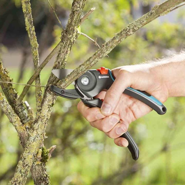 Actual product image Gardena Garden shears A/M