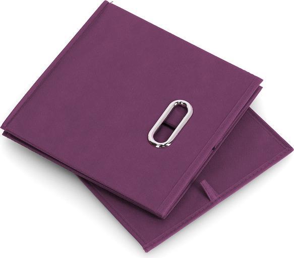 Image du produit Zeller Present Boîte de rangement (28 x 28 x 28 cm, 22 l)