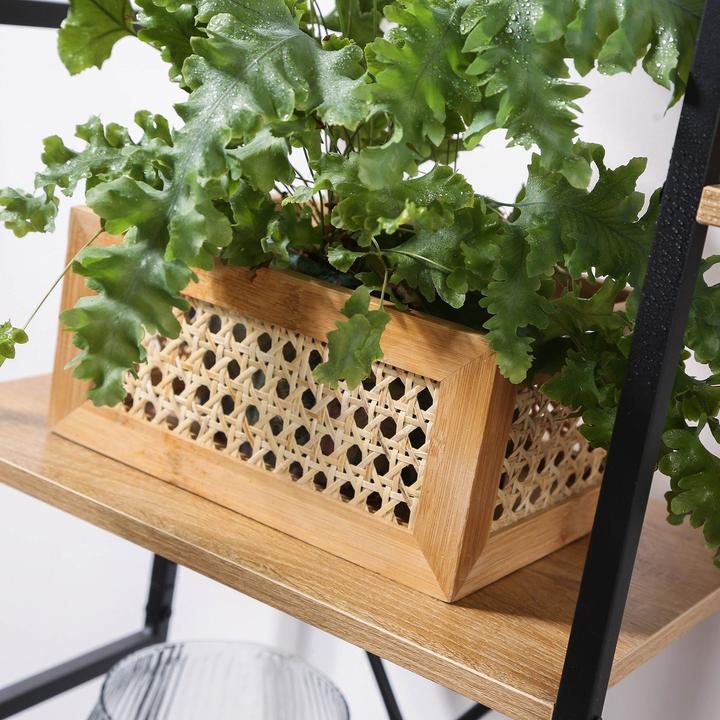 Produktbild CaliCosy Aufbewahrungsbox