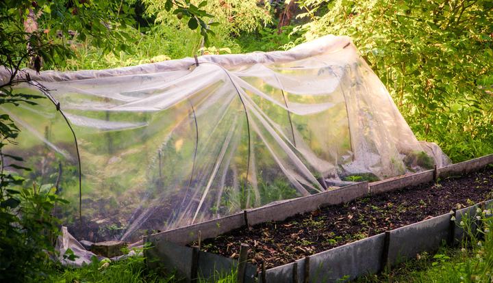 Produktbild Aquagart 20m Gartenfolie Gewächshausfolie UV 5 Frühbeetfolie Treibhausfolie 6m breit