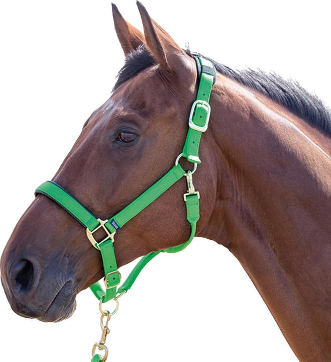 Immagine prodotto Shires Cavezza per cavalli in nylon Topazio