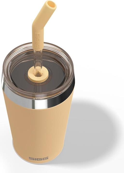 Image du produit Sigg Helia (0.45 l)