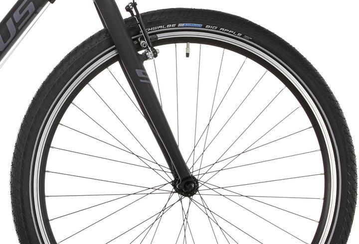 Image du produit Serious Hybride de cèdre (56 cm)