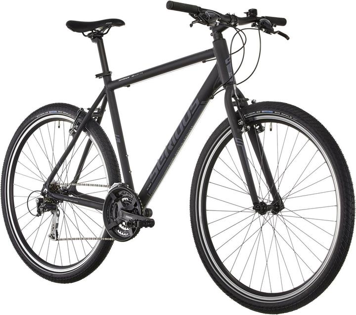 Image du produit Serious Hybride de cèdre (56 cm)