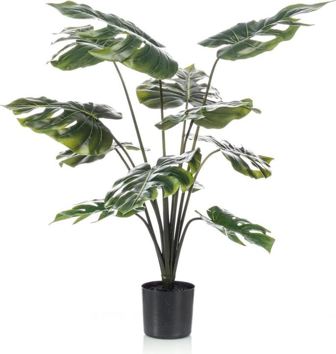 Emerald Monstera-Pflanze (98 cm)
