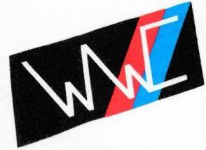 Actual product image Wayward WWC Signature T-Shirt (M)