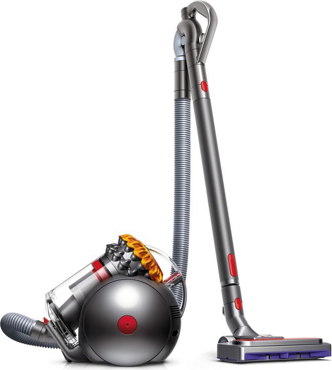Dyson Big Ball Allergy 2