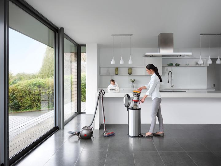Produktbild Dyson Big Ball Allergy 2