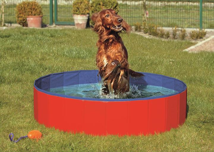 Produktbild Josty Pool (Hundepool)