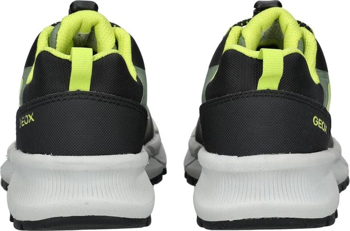 Image du produit Geox Sneaker (31)