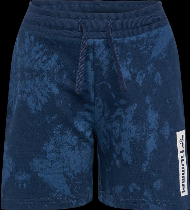 Image du produit hummel Hmljump Aop Shorts (146)