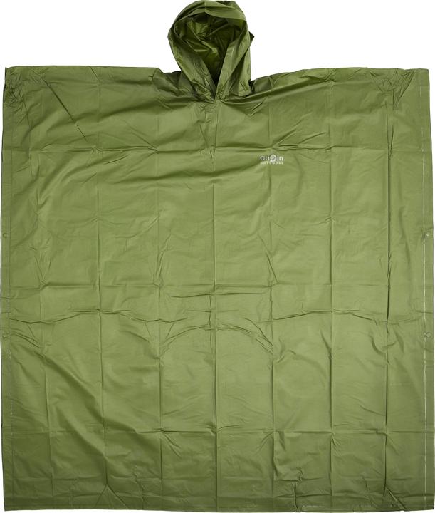 Verde oliva